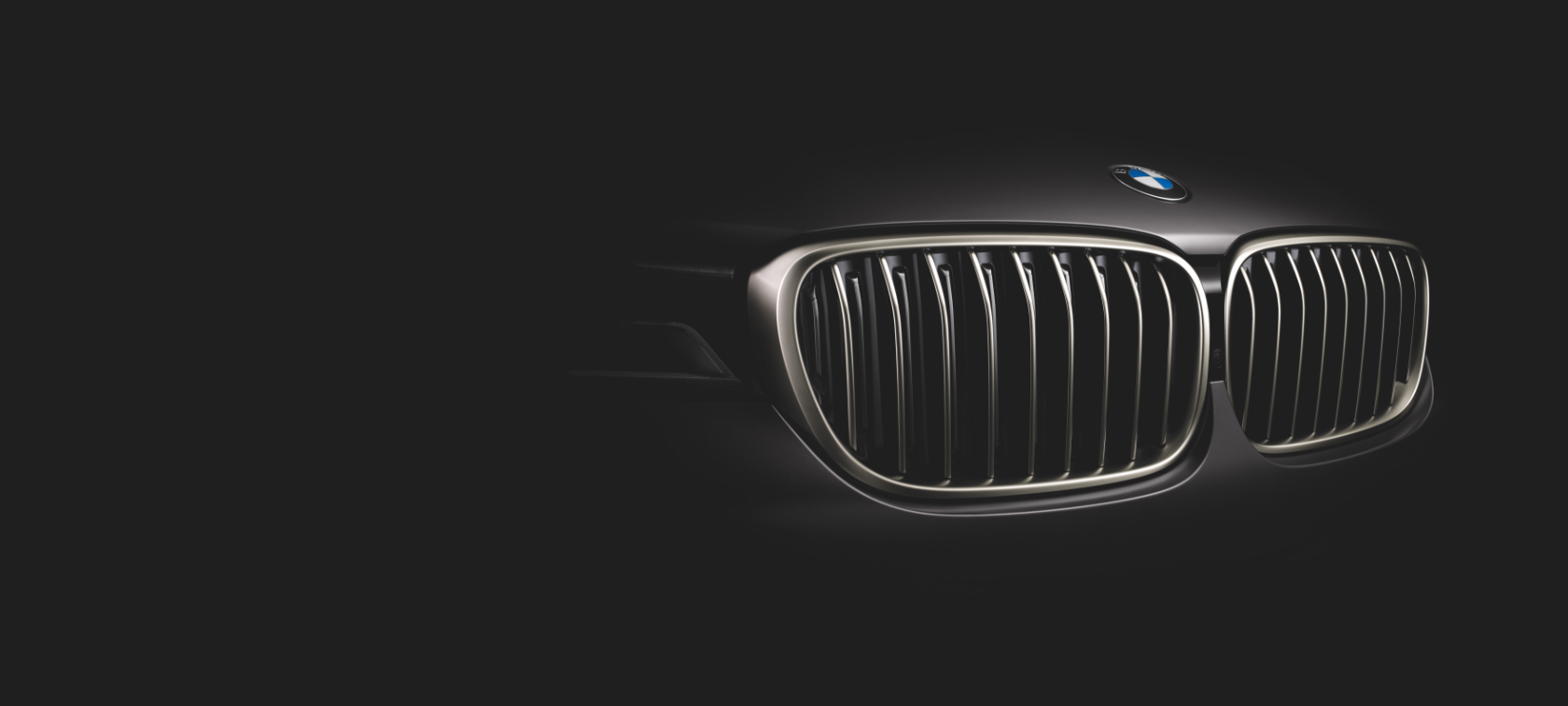 Value Service on your BMW BMW kidney grill