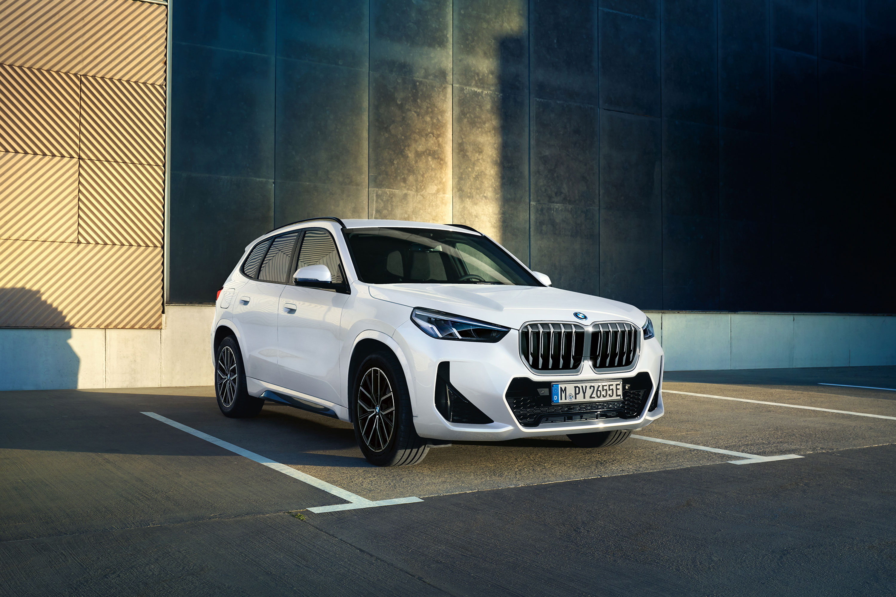 The BMW X1